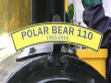 Polar Bear is 110